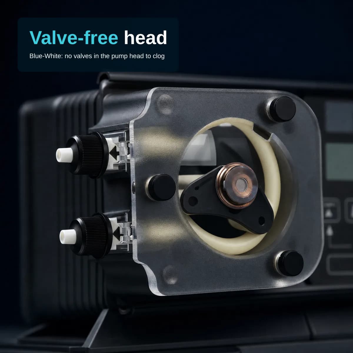 Close-up of the pump head of a black metering pump: a frosted clear cover held by black knobs (three visible), a cream-coloured tube looped around a three-armed black rotor with a copper-coloured hub, two white barbed fittings with black nuts at the left, part of the control panel at the right edge. Overlay text top-left: headline 'Valve-free head', subtitle 'Blue-White: no valves in the pump head to clog'.