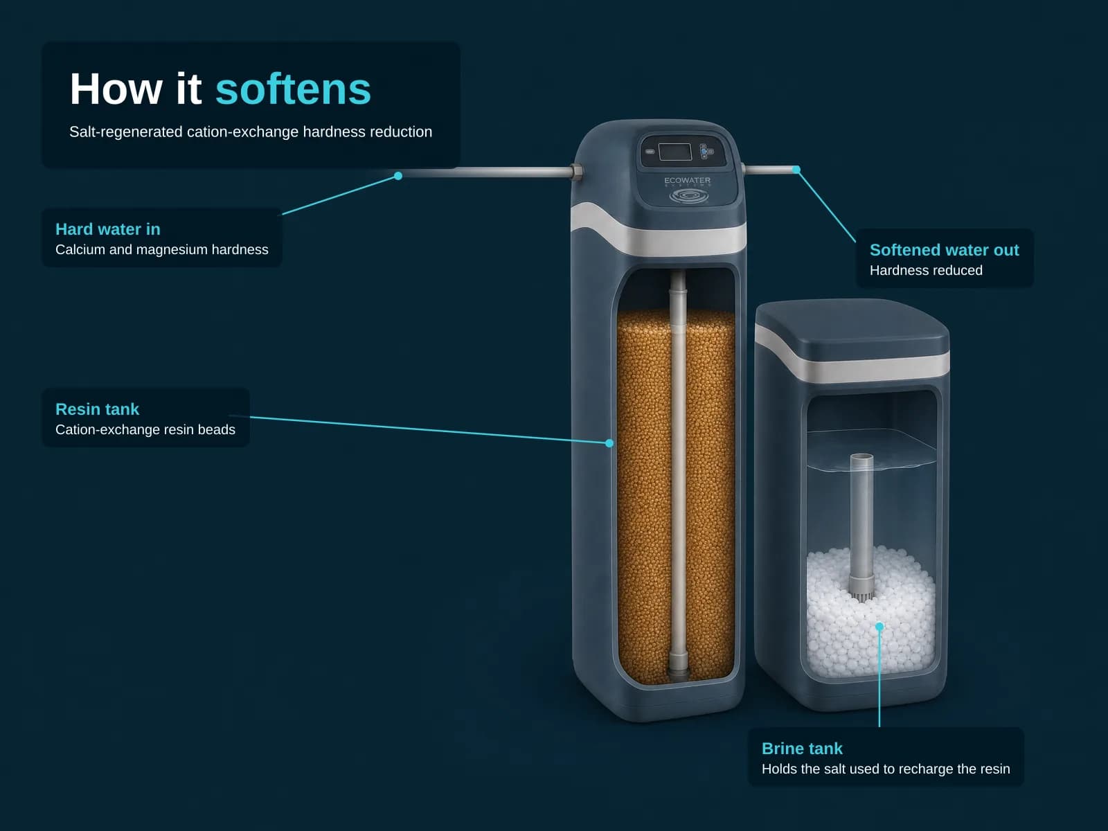 Explanatory illustration on a navy ground: the two-tank EcoWater softener with the front of both tanks cut away. The taller resin tank shows a bed of amber beads around a central tube; the shorter brine tank shows white salt pellets around a central tube. A pipe enters the left of the control head and one leaves its right. Overlay text: 'How it softens', 'Salt-regenerated cation-exchange hardness reduction', 'Hard water in - Calcium and magnesium hardness', 'Softened water out - Hardness reduced', 'Resin tank - Cation-exchange resin beads', 'Brine tank - Holds the salt used to recharge the resin'.