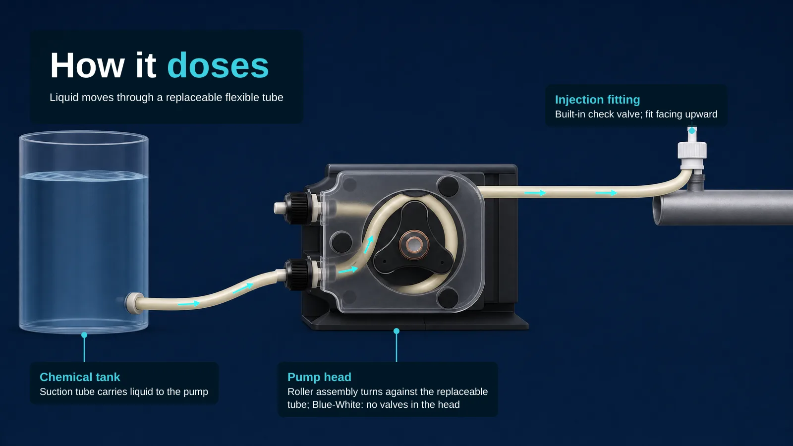 Explanatory illustration on navy: a clear tank at left, a tube running to the lower port of a Blue-White A-100N pump head (clear cover, black rotor, cream tube loop), and on to a white injection fitting on a grey pipe at right, with cyan flow arrows. Overlay: headline "How it doses", subtitle "Liquid moves through a replaceable flexible tube"; labels "Chemical tank — Suction tube carries liquid to the pump", "Pump head — Roller assembly turns against the replaceable tube; Blue-White: no valves in the head", "Injection fitting — Built-in check valve; fit facing upward".