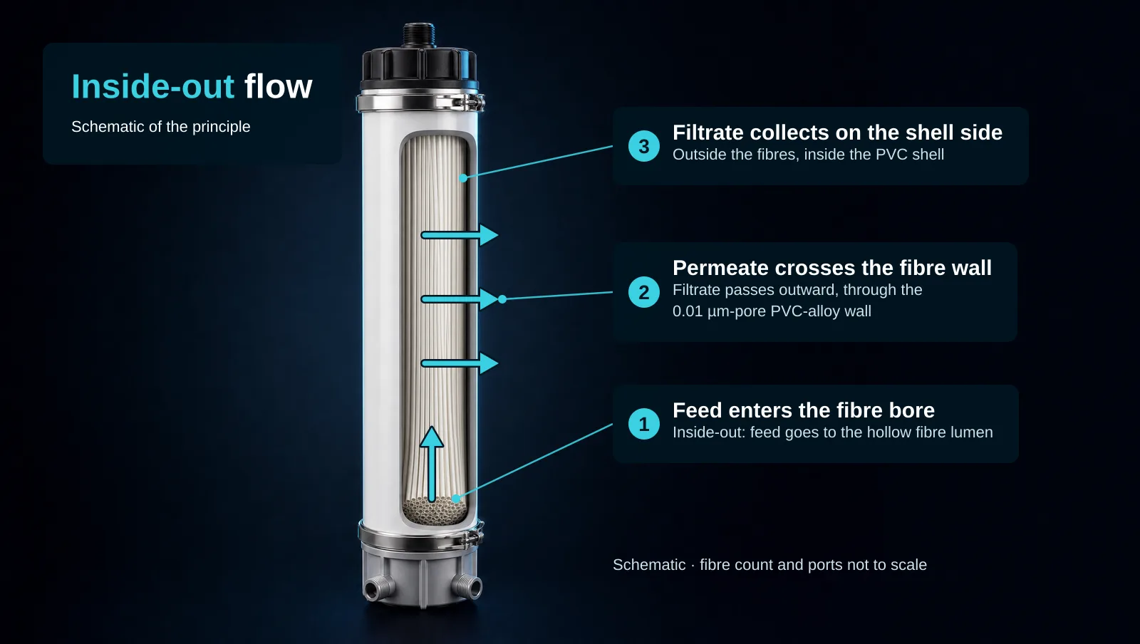 Schematic cutaway of a tall white PVC hollow-fibre UF module with the shell cut away to show the fibre bundle. Headline: Inside-out flow, Schematic of the principle. Cyan arrows: feed enters the fibre bore (arrow up the fibres), permeate crosses the fibre wall (arrows pointing outward), filtrate collects on the shell side. Callouts: 1 Feed enters the fibre bore; 2 Permeate crosses the fibre wall, 0.01 µm-pore PVC-alloy wall; 3 Filtrate collects on the shell side, outside the fibres, inside the PVC shell. Footer: Schematic · fibre count and ports not to scale.