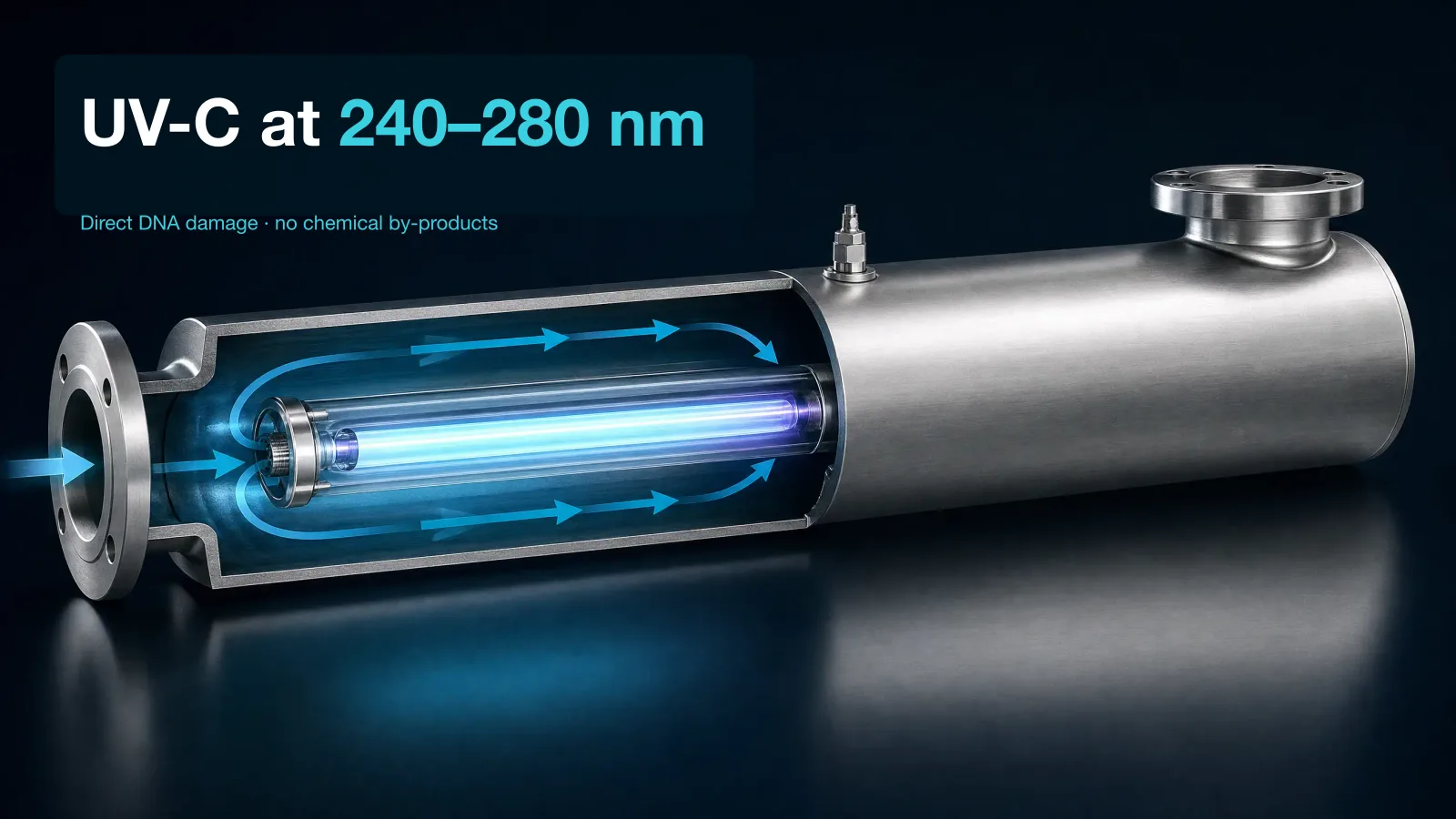 Technical cross-section of the DULCODES LP reactor showing the central quartz lamp sleeve and UV-C lamp along the reactor axis, with blue flow arrows indicating water path around the lamp.