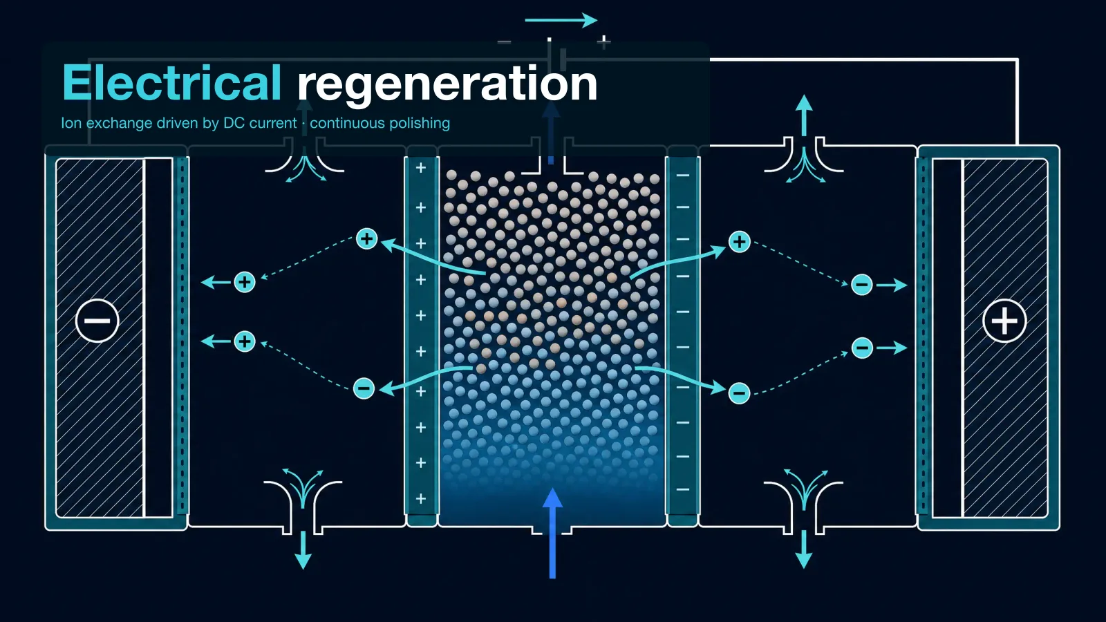 Technical cross-section schematic illustration of the electrodeionisation (EDI) working principle on a dark ink-navy background — five vertical parallel chambers from left to right: cathode electrode chamber, concentrate chamber, dilute chamber with mixed ion-exchange resin, concentrate chamber, anode electrode chamber, with CEM and AEM membrane separators, cyan curved ion-migration arrows, blue vertical flow arrows showing feed entering the dilute chamber at the bottom and purified product water exiting at the top. An editorial scrim carries the headline 'Electrical regeneration' with subtitle 'Ion exchange driven by DC current · continuous polishing'.